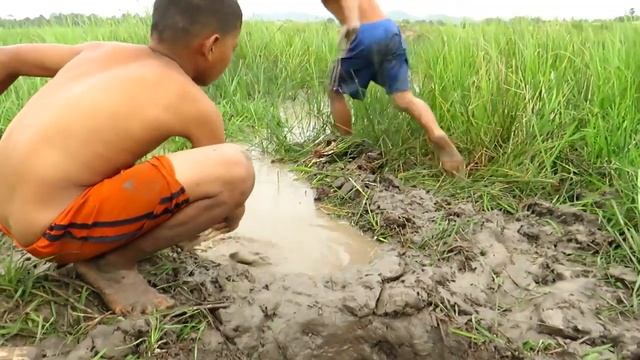 Рыбалка в грязи по колено/Ловушка в озере. смотреть онлайн