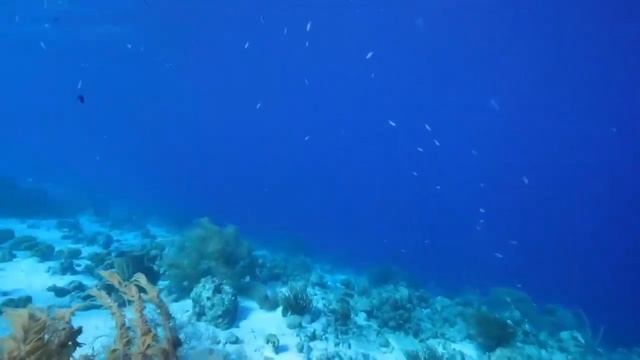 Wonderful Indonesia in Scenic Relaxation With Calming Music | MusicRelaxPedia смотреть онлайн