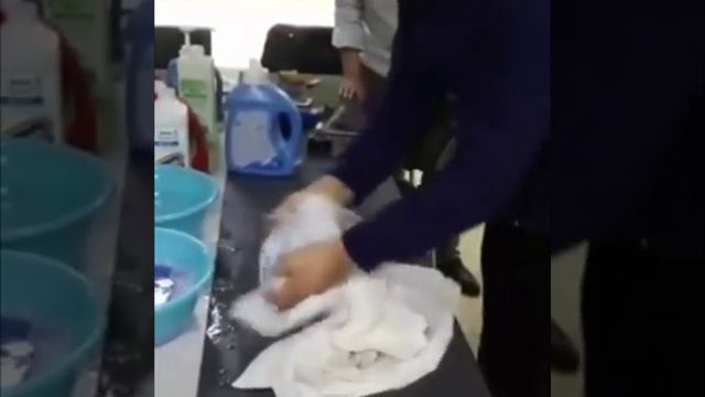 Тест стирального порошка #GreenLeaf смотреть онлайн