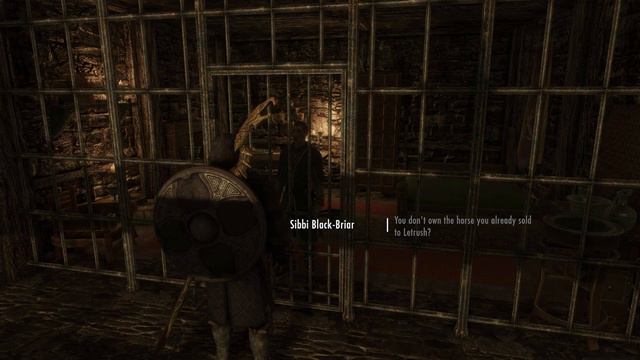 Skyrim - Eldmund's Odyssey | Riften is Filled with Bad People | Episode 20 смотреть онлайн