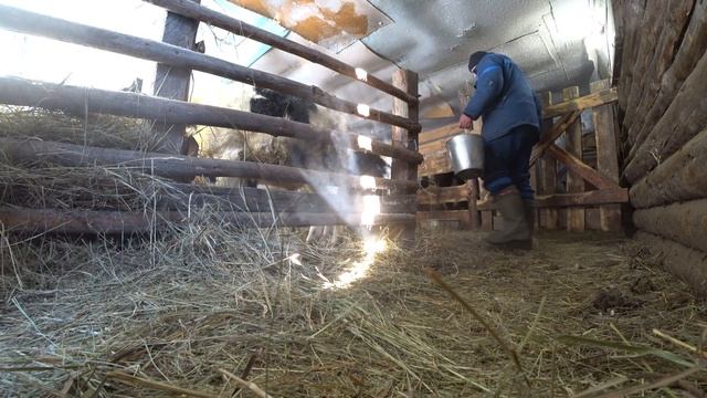 Собака жалуется на кота, а кот загулял...Деревенские будни. смотреть онлайн