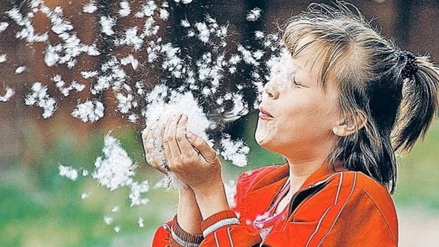 Белый пух Курские соловьи смотреть онлайн