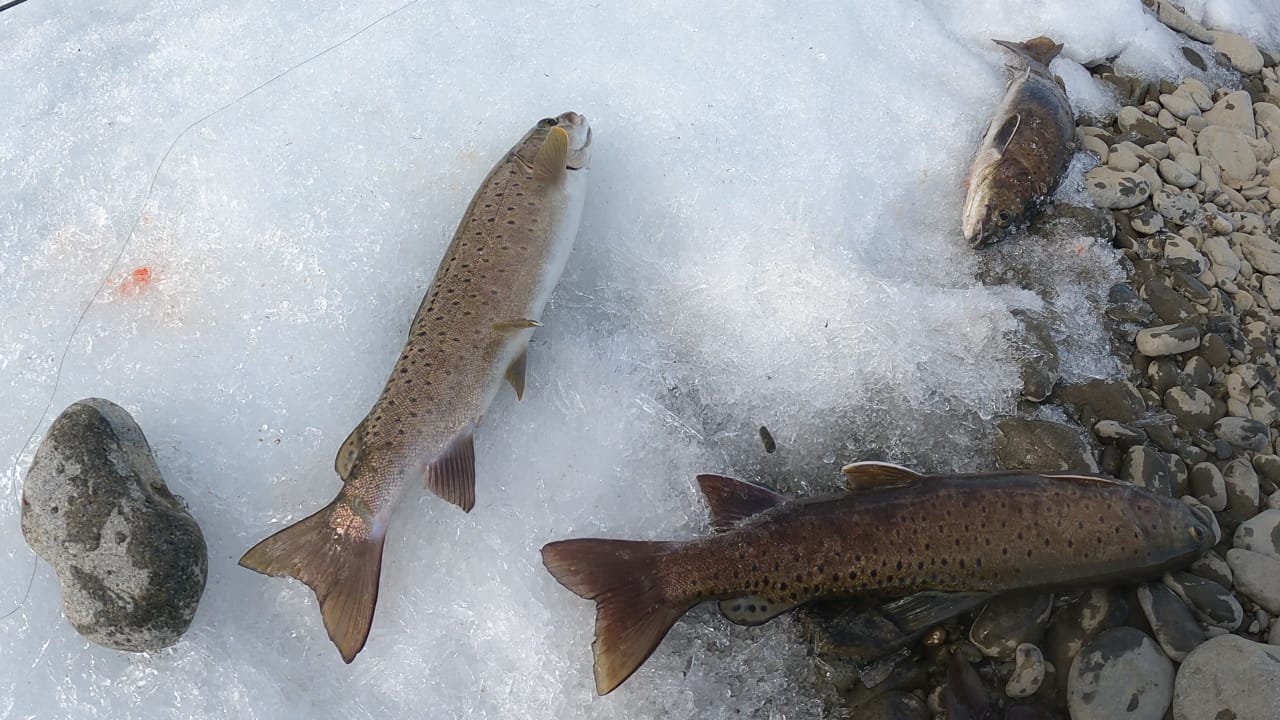 В горы с пенсионерами. Рыбалка на горной реке Нимелен. смотреть онлайн