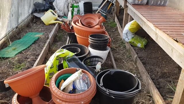 Открытие дачного сезона 2020//Приехала на дачу// Пересадка петунии смотреть онлайн