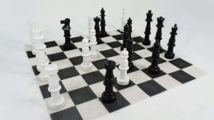 Шахматы. Интересные факты о шахматах. Международный день шахмат