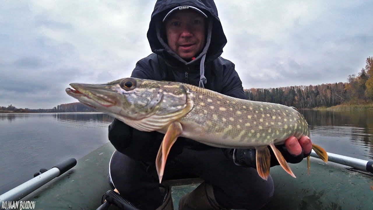 ПРОСТАЯ РЫБАЛКА НА ЩУКУ. Как и на что ловить щуку осенью. Осенняя рыбалка на спиннинг. смотреть онлайн