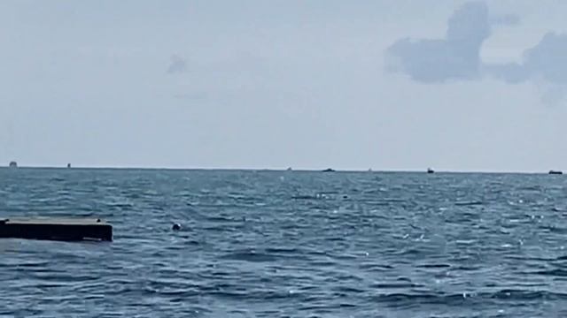 07.10.2023. Погода в Сочи в октябре. Смотри на Чёрное море каждый день. смотреть онлайн