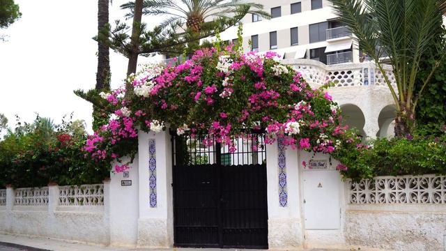 Dinner and walk with Cavalier. Alicante, Spain смотреть онлайн