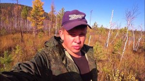 Дела житейские. Про бешеных болотных пчел,студеную воду и энергоносители