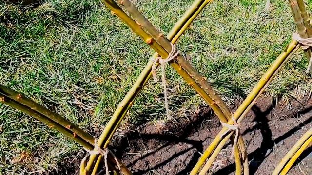 Ива -то растение, без которого нельзя обойтись. Живая вертикаль из плетенной ивы? Стоит попробовать смотреть онлайн