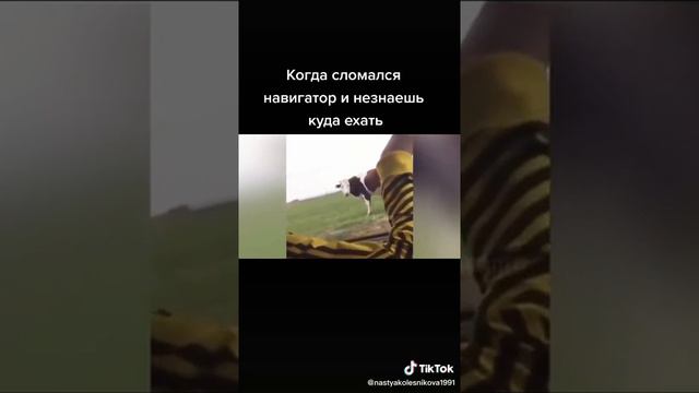 Когда не знаешь куда ехать Яндекс навигатор в помощ смотреть онлайн