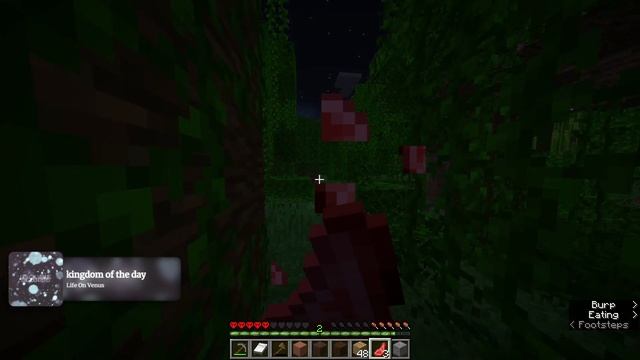 season 5 rip 17 смотреть онлайн