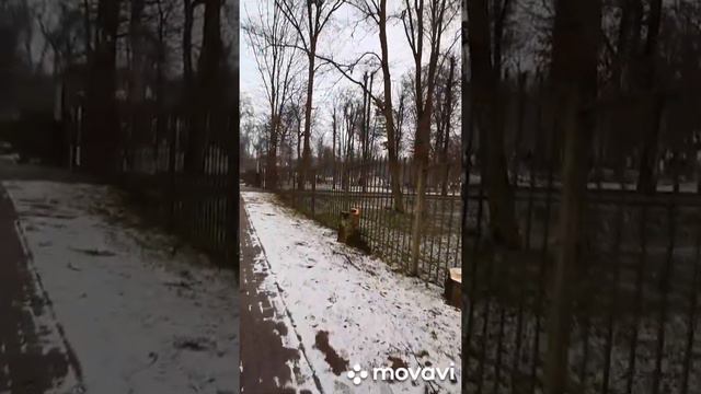 02.01.2021 Почему Гурьевск выбрала для жизни, вечерняя прогулка смотреть онлайн