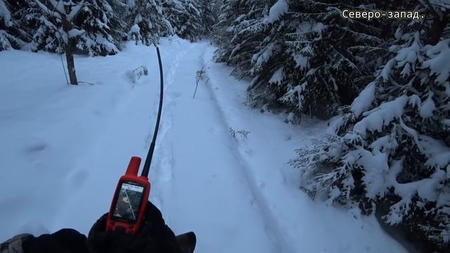 ОХОТА НА ВЕЗДЕХОДЕ (КАРАКАТЕ) С РУССКОЙ ГОНЧЕЙ ПО ЗАЙЦУ. ТОТ СЛУЧАЙ КОГДА КАРАКАТ И НАВИГАТОР РУЛЯТ смотреть онлайн