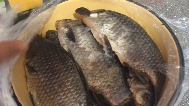 Рецензии на Книги и Литературу