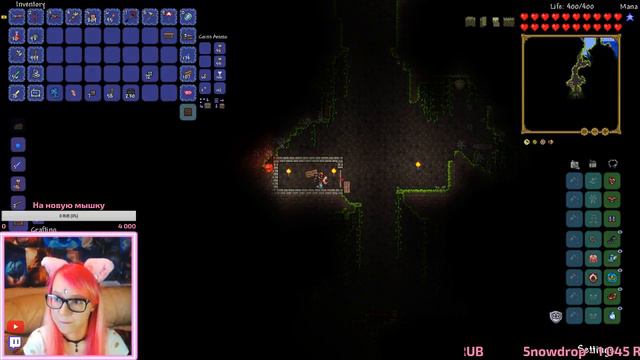 Прохождение Terraria Expert ♡ Archer [#3] исследуем джунгли, КОРОЛЕВА ПЧЕЛ 11.06.18 смотреть онлайн