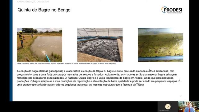 Webinar sobre Estudo da Cadeia de Valor do Sector da Aquicultura смотреть онлайн