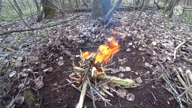 Варлаамо - Хутынский монастырь! Шашлык в фольге на костре! Местная велодорожка! смотреть онлайн
