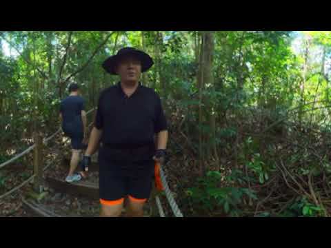 Bukit Timah Singapore Part 1. Гуляем по горе Тимах в Сингапуре. Самая высокая точка острова.