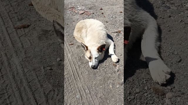 20 июля 2023 г. смотреть онлайн