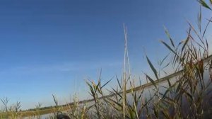 Охота на утку 2018 с  коллиматором DOCTER®sight II !!!