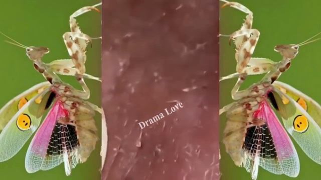 Relax Squeezing Out Blackheads #54 Черные точки