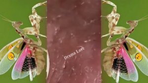 Relax squeezing out blackheads #54 Черные точки