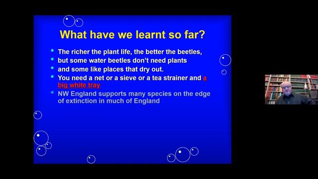 Where to find Water Beetles in the UK смотреть онлайн