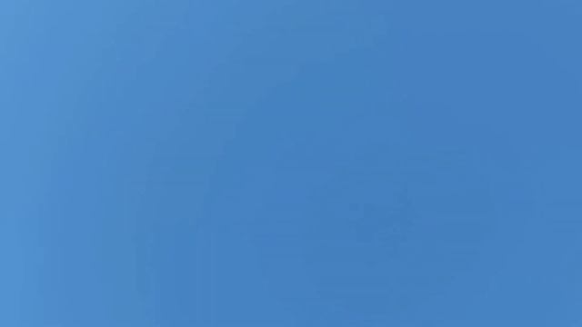 МОИ БУХАРСКИЕ ГОЛУБИ بلدي بخارى الحمام my bukhara pigeons смотреть онлайн