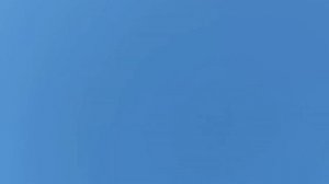 МОИ БУХАРСКИЕ ГОЛУБИ بلدي بخارى الحمام my bukhara pigeons