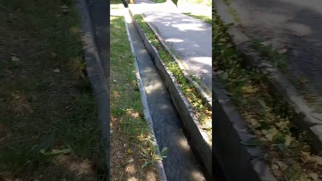 АЛМАТЫ. ИЮНЬ 2023г. УЛ.САИНА. СНОВА ЖУРЧИТ ВОДА В АРЫКАХ. смотреть онлайн