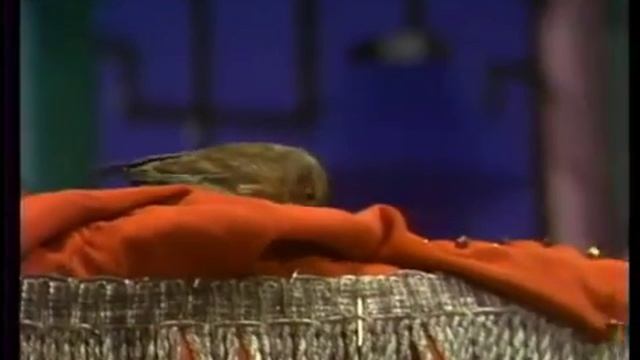 Märchen der Welt 010 Die Nachtigall смотреть онлайн