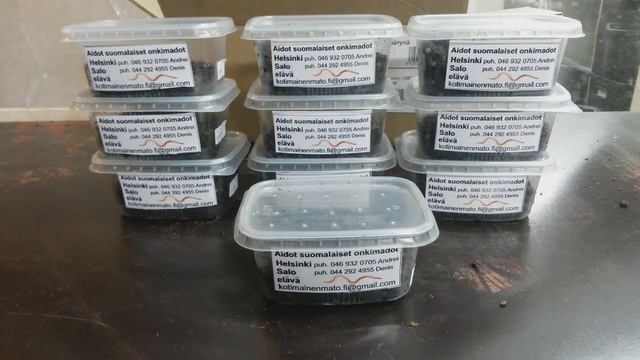 АБ#7 отправка коконов. Что и как? смотреть онлайн