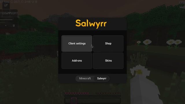 Salwyrr Free capes and Cloaks Update V4|Need to know about Salwyrr client смотреть онлайн