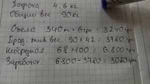 Как выгоднее продать свинью. Сходится ли вес свиньи по замерам и весам.