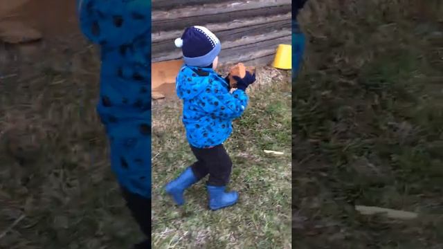 носит старые кирпичи на даче смотреть онлайн