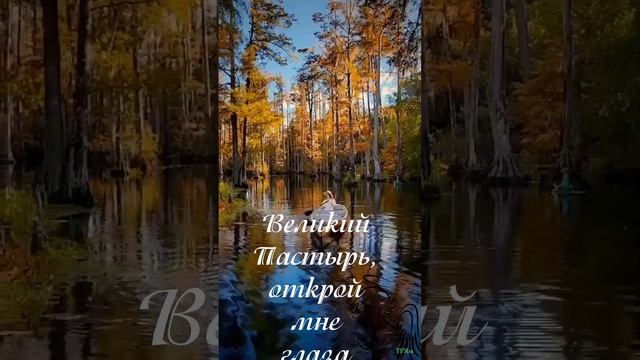 Октябрь 1, 2022 Смотрите на плоды смотреть онлайн