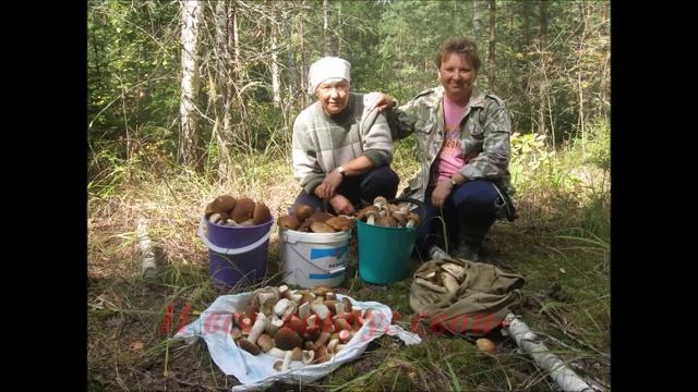 кудрявец смотреть онлайн