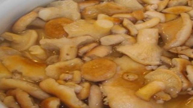 Сборник рецептов