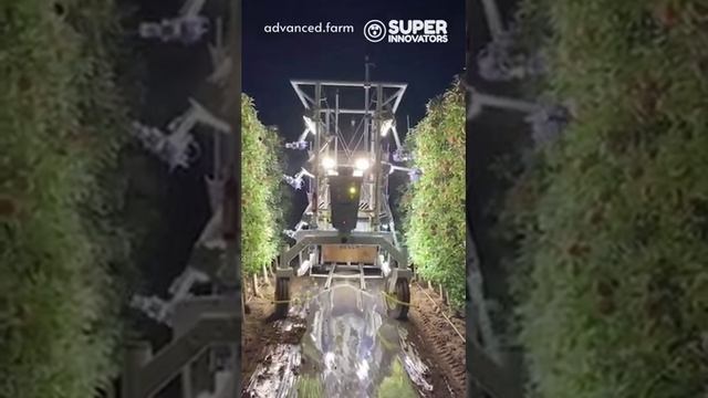 Шестирукий сборщик яблок смотреть онлайн