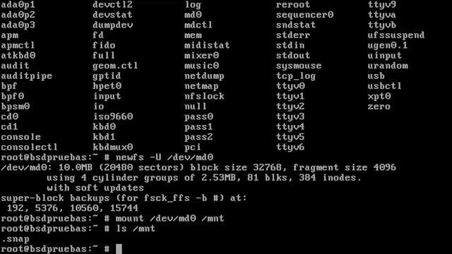 Uso de sysctl y variables de entorno del kernel en FreeBSD 12 смотреть онлайн