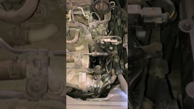Где номер двс DGB Шкода Кодиак #авто #двигатель#motor смотреть онлайн