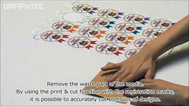 Режущий плоттер Graphtec CE LITE-50 смотреть онлайн