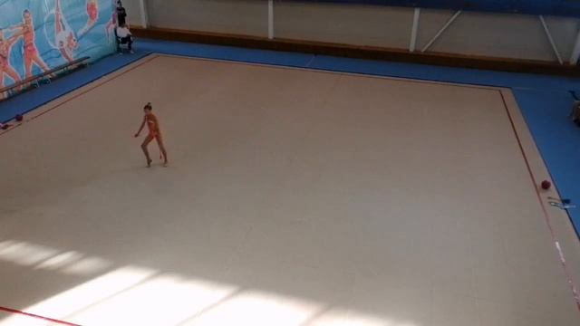 Чемпионат Хабаровского края по Художественной гимнастике.