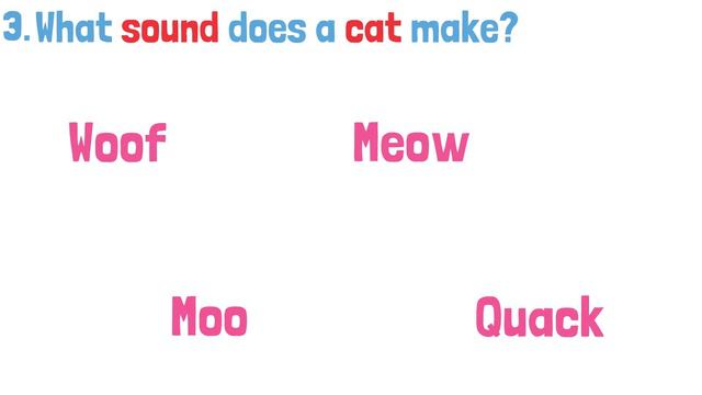 Fun IQ Test For Kids | Languages 🧩 | Let's Learn |  Nursery Rhymes | Toddlers 🐞 Brainy Buddies
