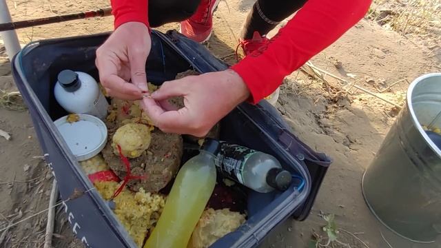 РЫБАЛКА НА СЫРДАРЬЕ В ИЮНЕ: Поиск новых мест, приключения на неприступном острове. смотреть онлайн