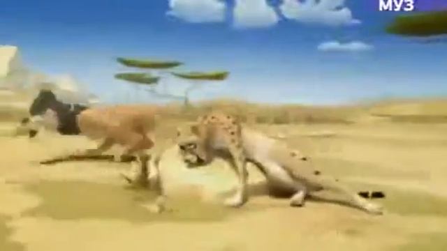Короткий смешной мультик про льва 1.2 Лев и Гепард смотреть онлайн