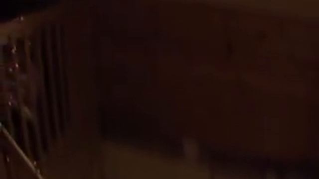 Спят медведи смотреть онлайн