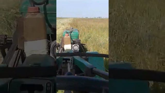 Сенокос смотреть онлайн