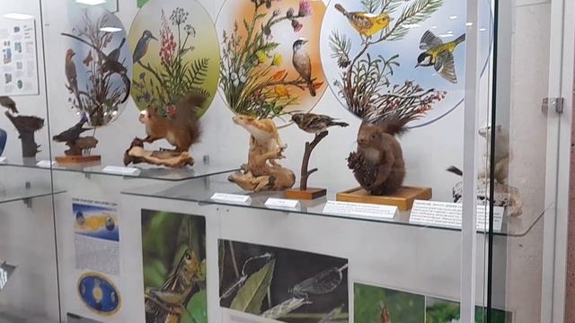 Калининградский областной историко-художественный музей. Из серии "Туристу на заметку" смотреть онлайн